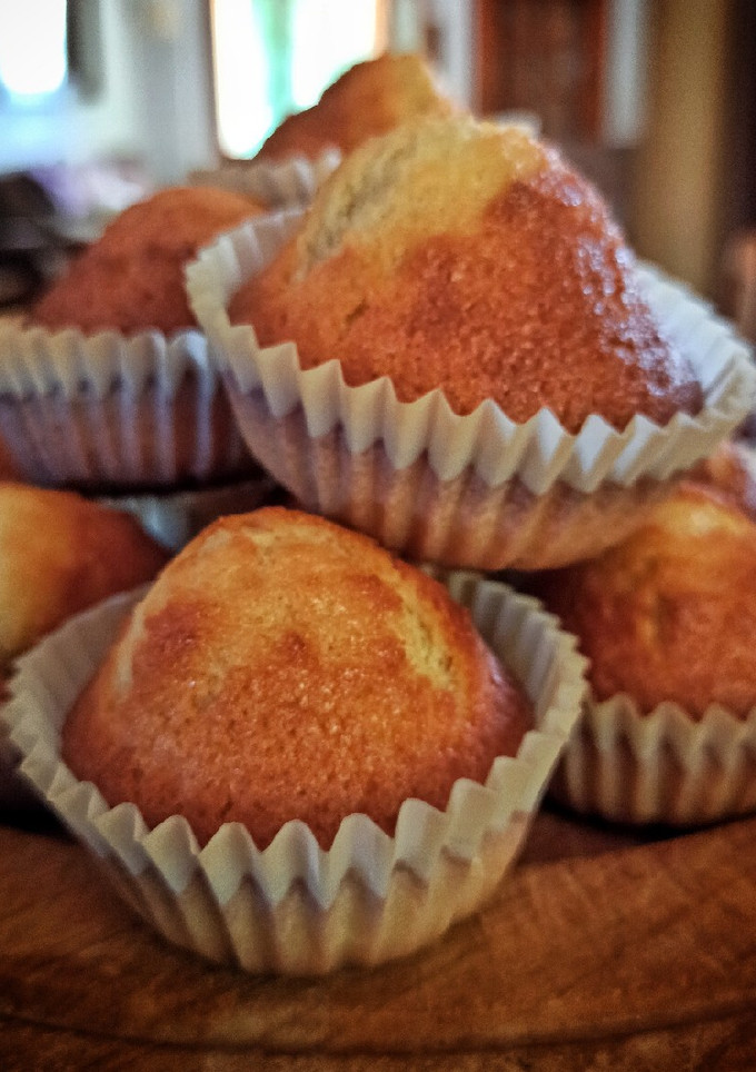 Una foto de Magdalenas, las clásicas 🧁