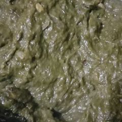 A picture of Sarso ka saag.