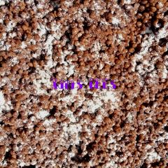 A picture of Sugary Milky Tigernut.
