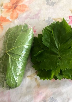 عکسی از دستور نگهداری از برگ مو