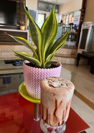 ચોકલેટ કોકો મિલ્કશેક (Chocolate Coco Milkshake Recipe In Gujarati) રેસીપી મુખ્ય ફોટો