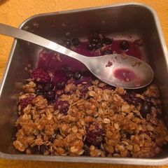 Light Blueberry Crisp A picture of Light Blueberry Crisp.