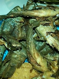 Foto resep Goreng Garing Ikan Betok