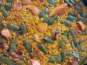 A picture of chicken powder