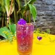 Trà hoa đậu biếc hạt chia