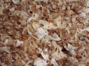 A picture of creamy chicken breasts