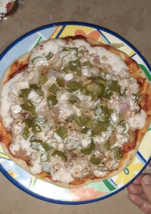 A picture of Pizza without cheese.