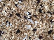 A picture of oat granola