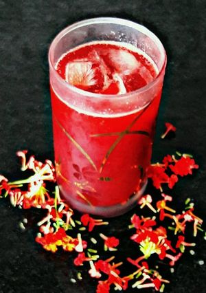 A picture of Cranberry Sherbet.