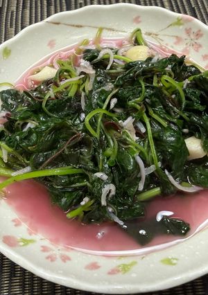 吻仔魚炒紅莧菜 的食譜成品照片