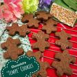 Chocolate ‘Tempe’ Cookies