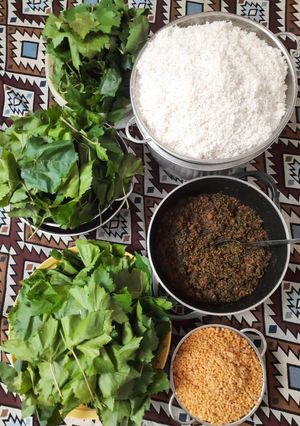 عکسی از دستور دلمه برگ مو