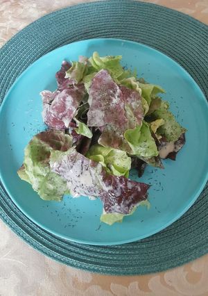 Salat mit einer Zitronen - Kondensmilch - Soße Rezepthauptbild