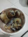Pisang Cokelat Muantuull :)