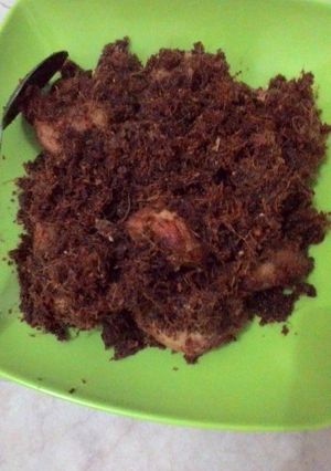 Foto resep Ayam serundeng laja muda