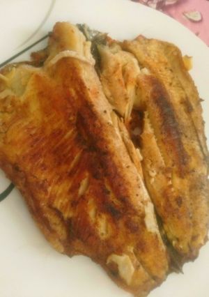عکسی از دستور ماهی
