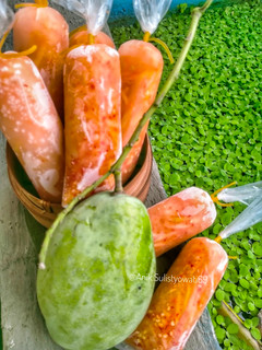 Foto resep Es Rujak Mangga