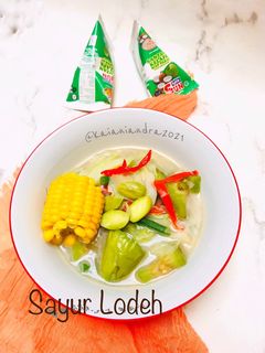 Foto resep Sayur Lodeh