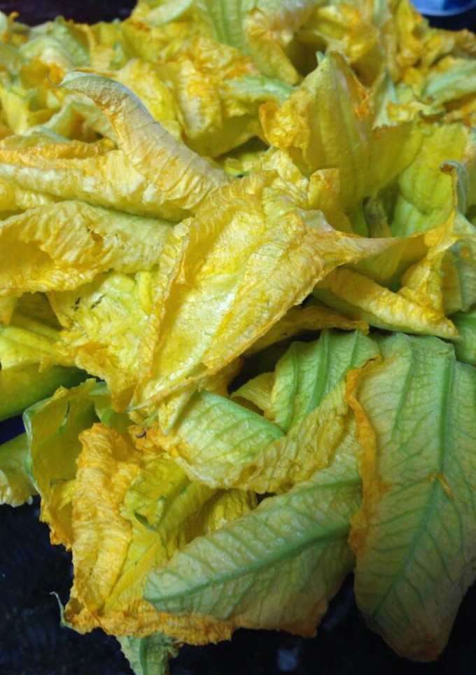Una foto de Ensalada con flor de calabaza y amaranto