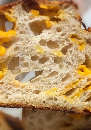 天然酵种 · Cheddar芝士面包（厨师机打面） 的食譜成品照片
