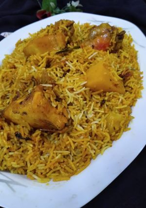 A picture of Chicken biryani.