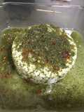 Botana de Queso Panela