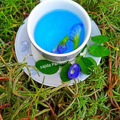 A picture of BLUE TEA | Blue Butterfly Pea Flower Herbal Tea.