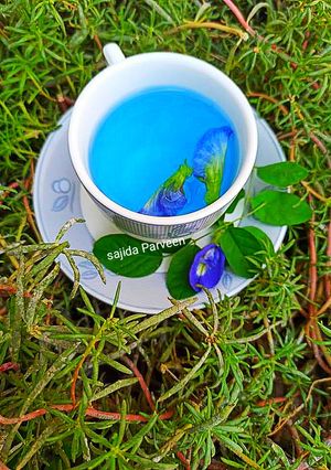 A picture of BLUE TEA | Blue Butterfly Pea Flower Herbal Tea.