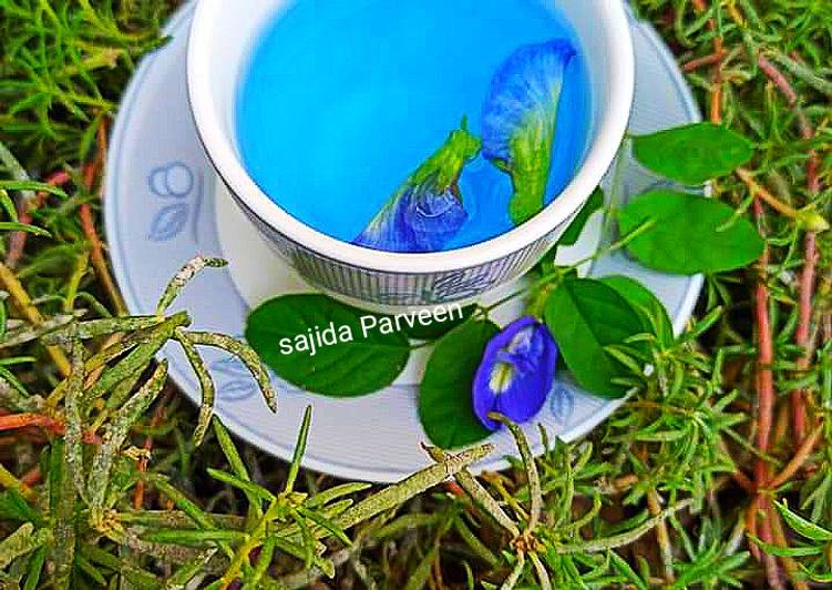 BLUE TEA | Blue Butterfly Pea Flower Herbal Tea