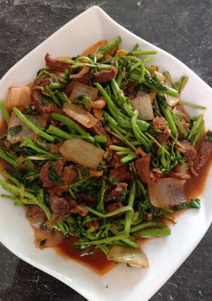 Foto resep Tumis Selada mix Sapi Sangrai
