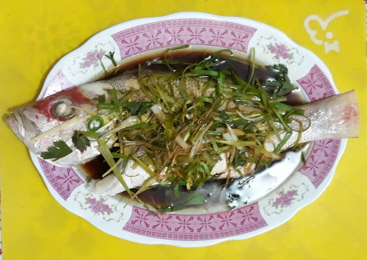 Resep Tim Ikan Kakap Lezat