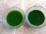 Ekstrak Daun Suji dan Daun Pandan