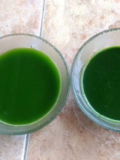 Foto resep Ekstrak Daun Suji dan Daun Pandan