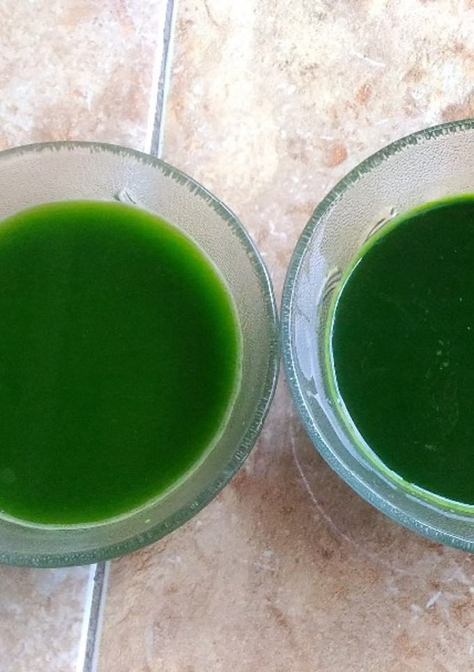 Foto resep Ekstrak Daun Suji dan Daun Pandan