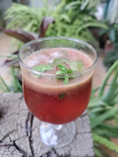 ચેરી નો મોઇતો (Cherry Mojito Recipe In Gujarati) રેસીપી મુખ્ય ફોટો