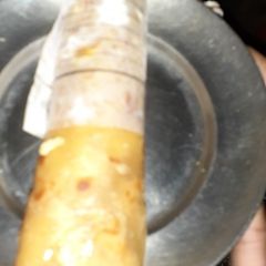 A picture of Chicken Egg Roll.