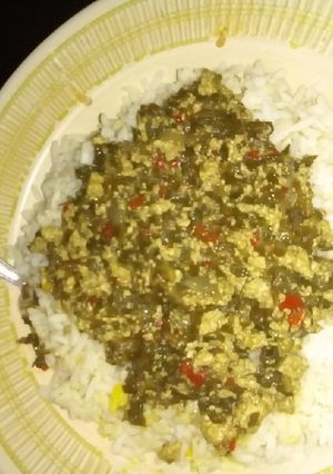 A picture of White rice and tofu and spinach sauce.