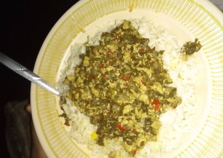 White rice and tofu and spinach sauce