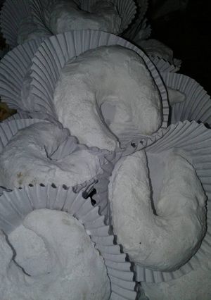 صورة لوصفة تشاراك