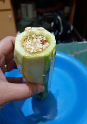 Foto resep Rujak Corek