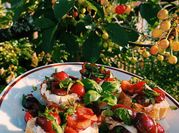 A picture of fruit bruschetta
