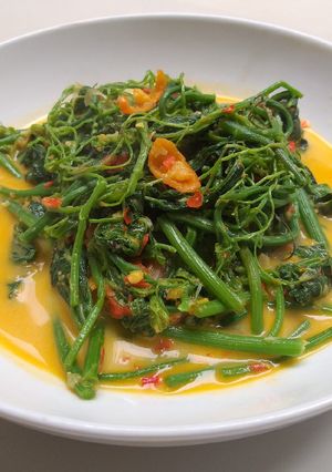 Foto resep Tumis daun labu Siam bumbu santan