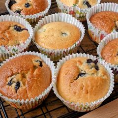 Vanilla blueberry muffins A picture of Vanilla blueberry muffins.