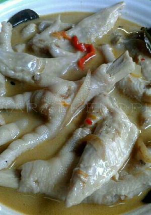 รูปของ น้ำยาป่ากะทิ