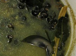 Foto resep Kreco ala kediri