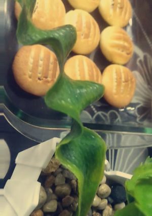 صورة لوصفة معمول منزلي