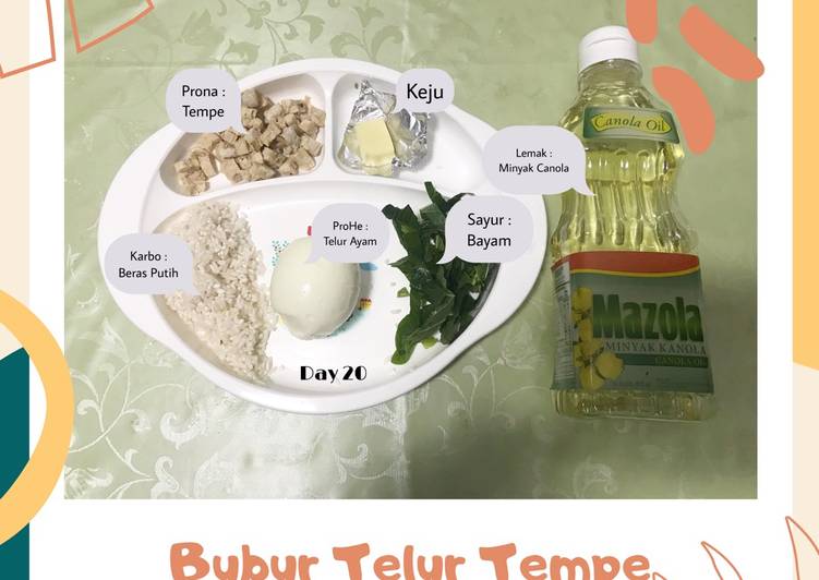 Resep Mpasi 6 Day 20 Bubur Telur Tempe Oleh Yunchans Cookpad