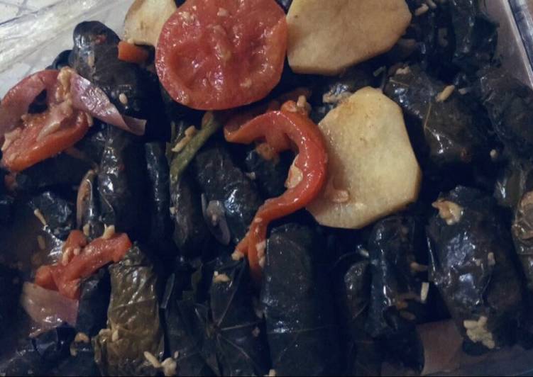 محشي ورق عنب بدبس الرمان