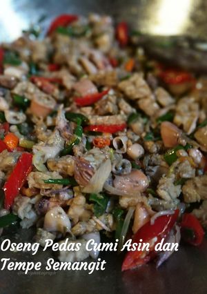 Foto resep Oseng Pedas Cumi Asin dan Tempe Semangit