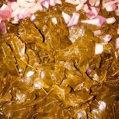 A picture of Moringa (zogale).